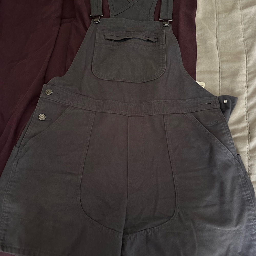 Patagonia Overall Shorts